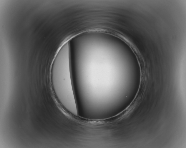 X0000085320858200703091113