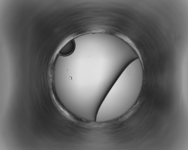 X0000085320859200703091113