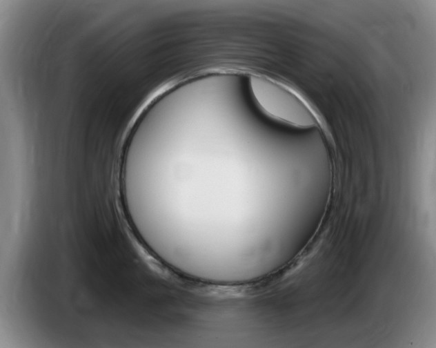 X0000085320861200703091113