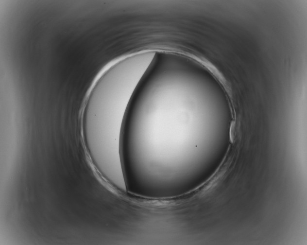 X0000085320862200703091113