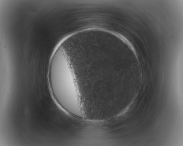 X0000085320863200703091113