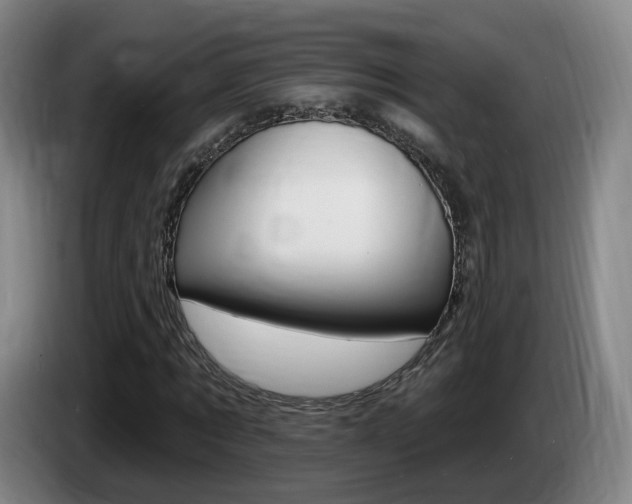 X0000085320869200703091113