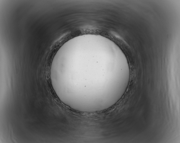 X0000085320870200703091113