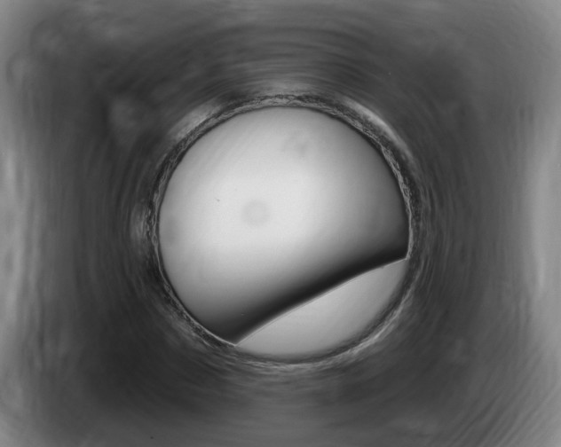 X0000085320873200703091113