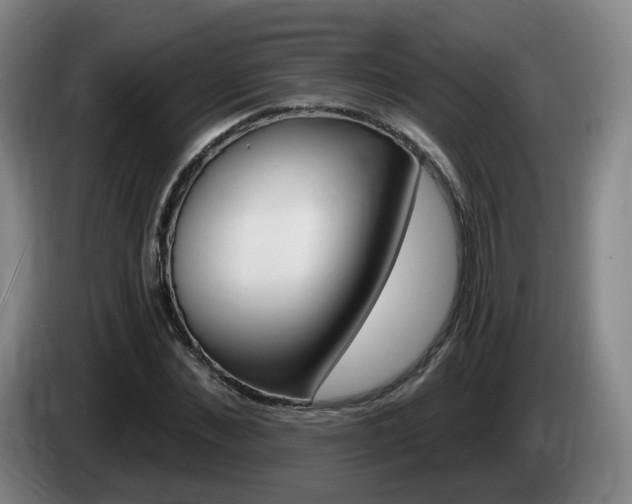 X0000085320876200703091113