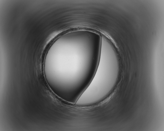 X0000085320877200703091113