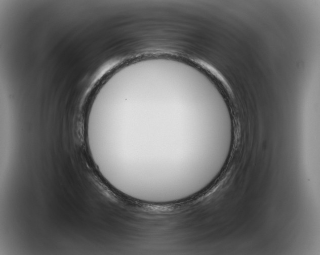X0000085320878200703091113