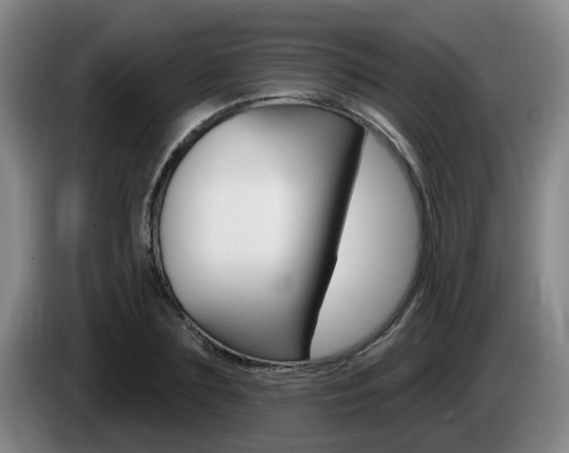 X0000085320883200703091113