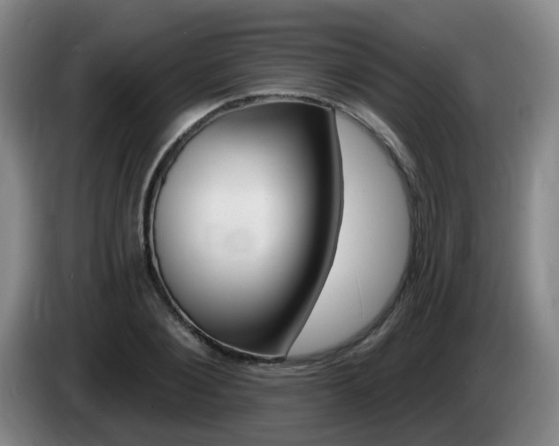 X0000085320884200703091113