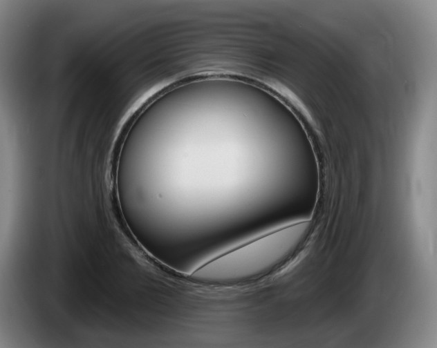 X0000085320885200703091112
