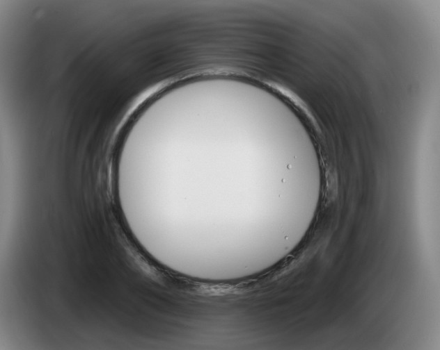 X0000085320886200703091112