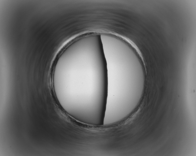 X0000085320887200703091112