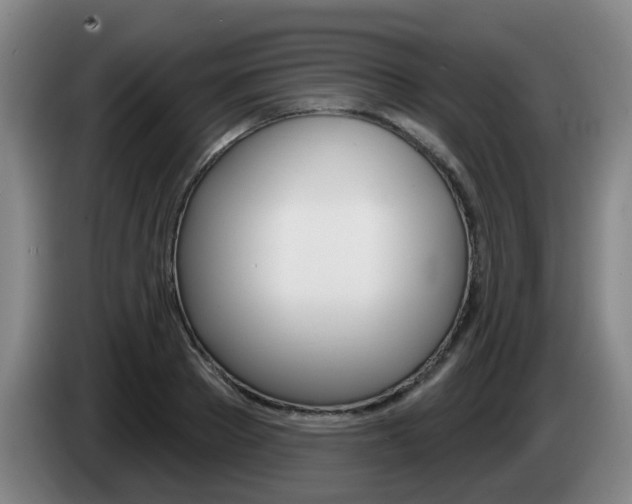 X0000085320889200703091112