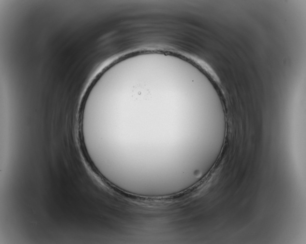 X0000085320895200703091112
