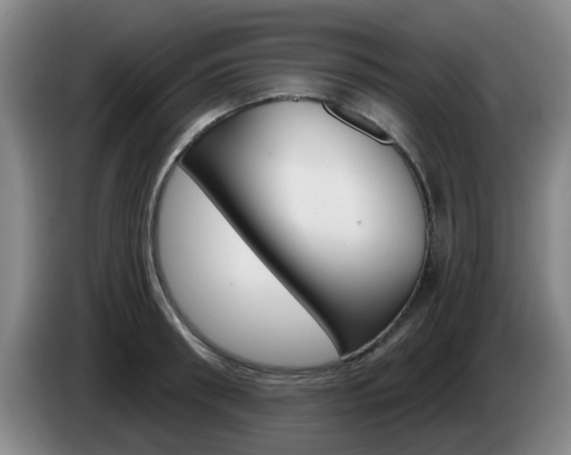 X0000085320898200703091112