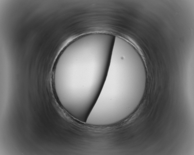 X0000085320899200703091112