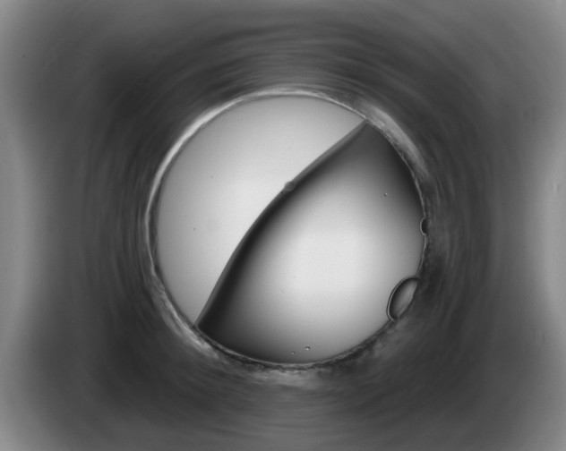 X0000085320900200703091112