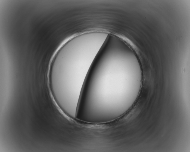 X0000085320902200703091112