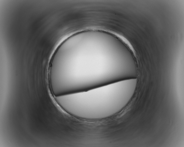 X0000085320903200703091112
