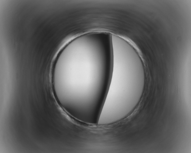 X0000085320910200703091112