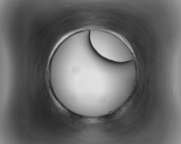 X0000085320911200703091112