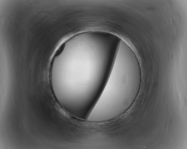 X0000085320912200703091112