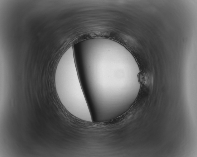 X0000085320915200703091112