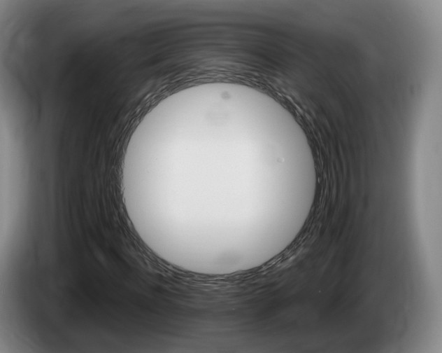 X0000085320916200703091112