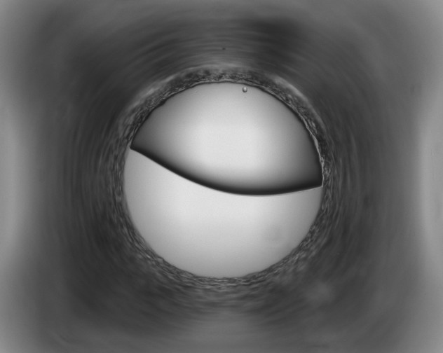 X0000085320919200703091112