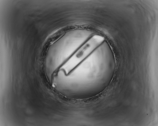 X0000085320920200703091112