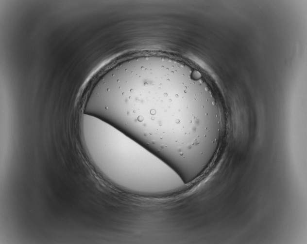 X0000085320925200703091112