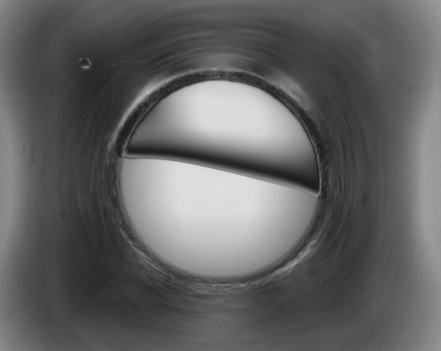 X0000085320926200703091112