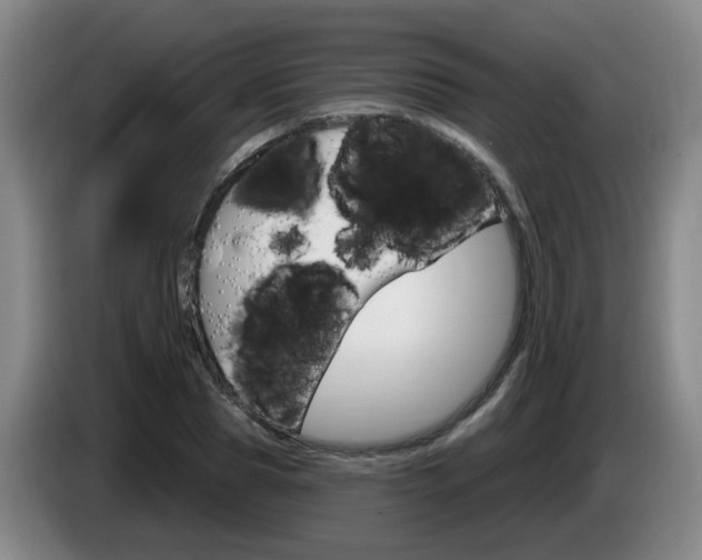 X0000085320929200703091112
