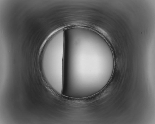 X0000085320931200703091112