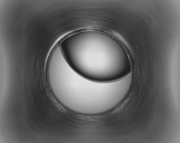 X0000085320932200703091112