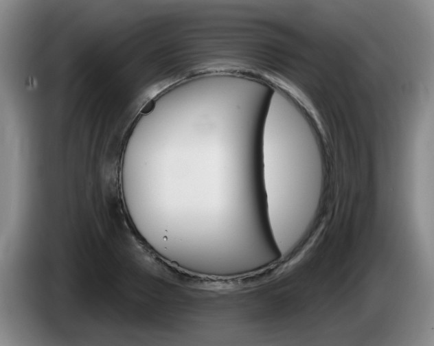 X0000085320937200703091112