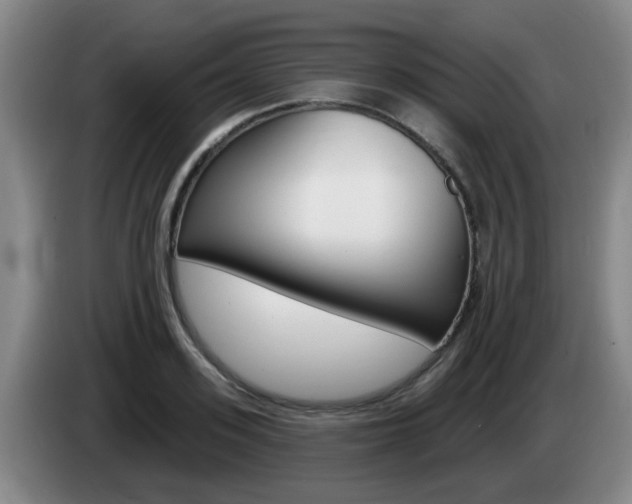 X0000085320939200703091112