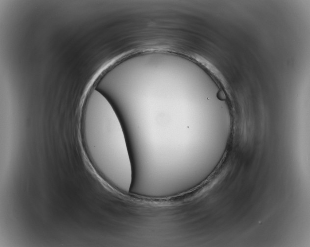 X0000085320941200703091112