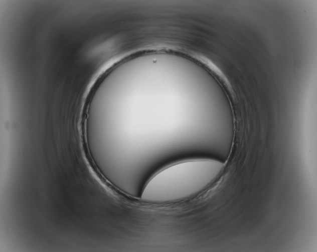 X0000085320943200703091112