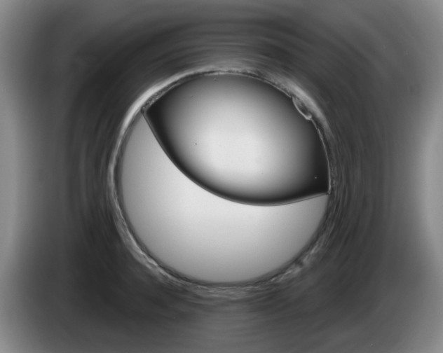 X0000085320944200703091112