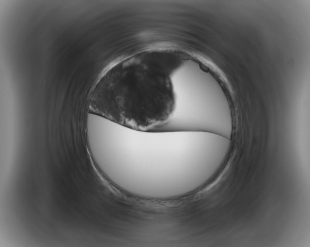 X0000085320945200703091112