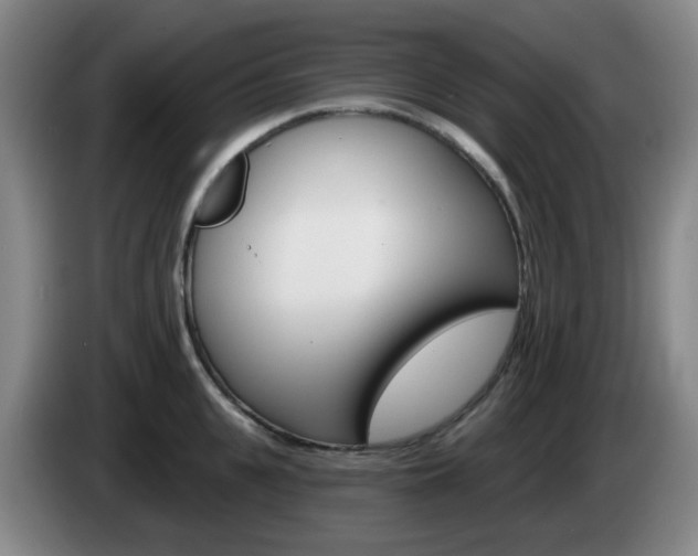 X0000085320951200703091112