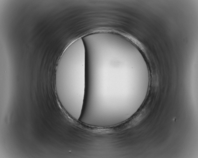 X0000085320953200703091112
