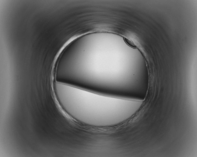 X0000085320955200703091112