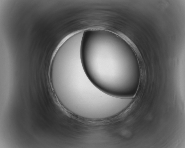 X0000085320956200703091112