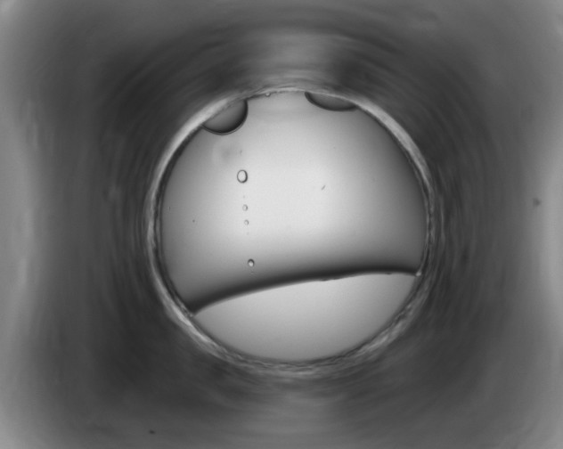 X0000085320957200703091112