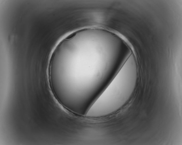 X0000085320959200703091112