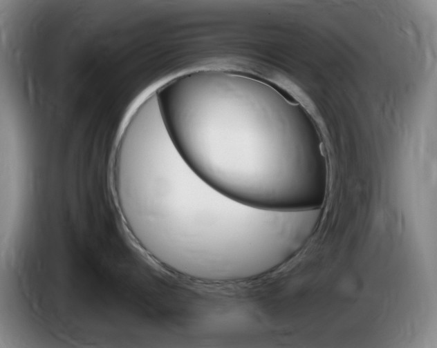 X0000085320960200703091112