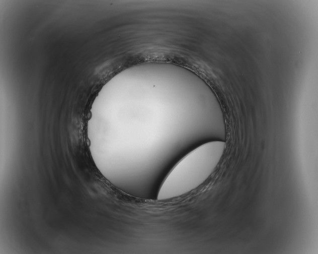 X0000085320964200703091111