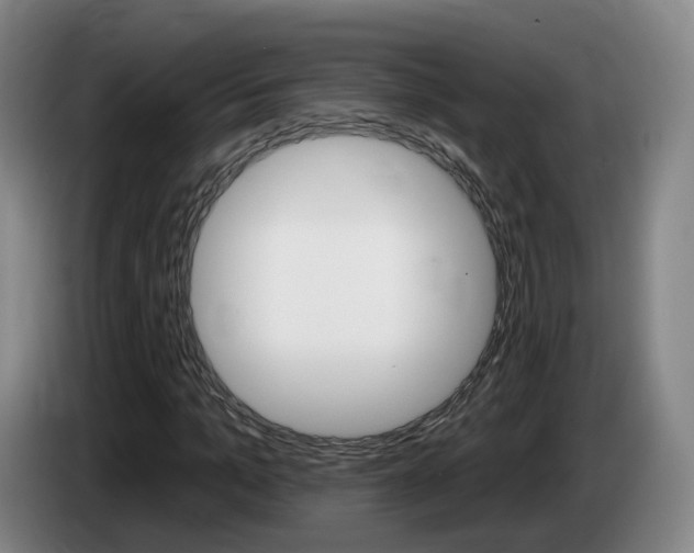 X0000085320965200703091111